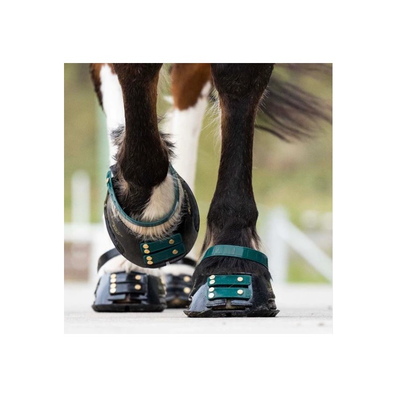 Scootboot Pastern Strap - svart