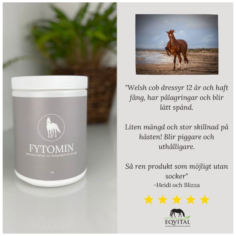 FYTOMIN - Växtbaserat mineral och näringstillskott