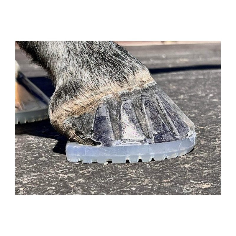 Easyshoe Versa Grip OCTO (parvis)