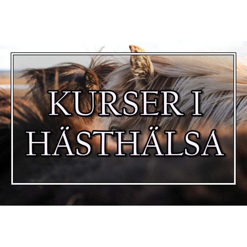 Kurser i hästhälsa - Eqvital