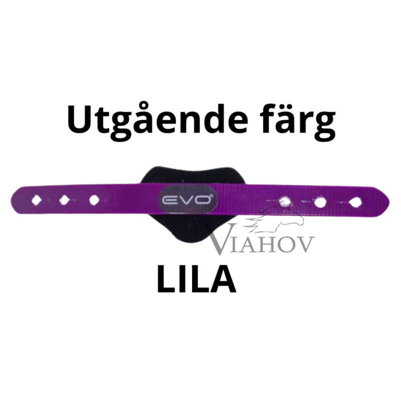 EVO Safety strap
