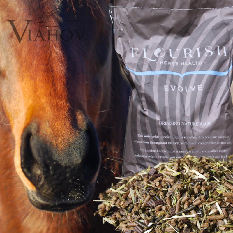 FLOURISH EVOLVE (vi skickar till hela sverige)