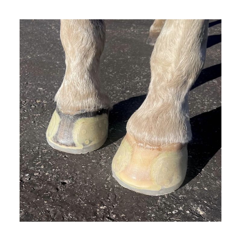 EasyShoe Speed