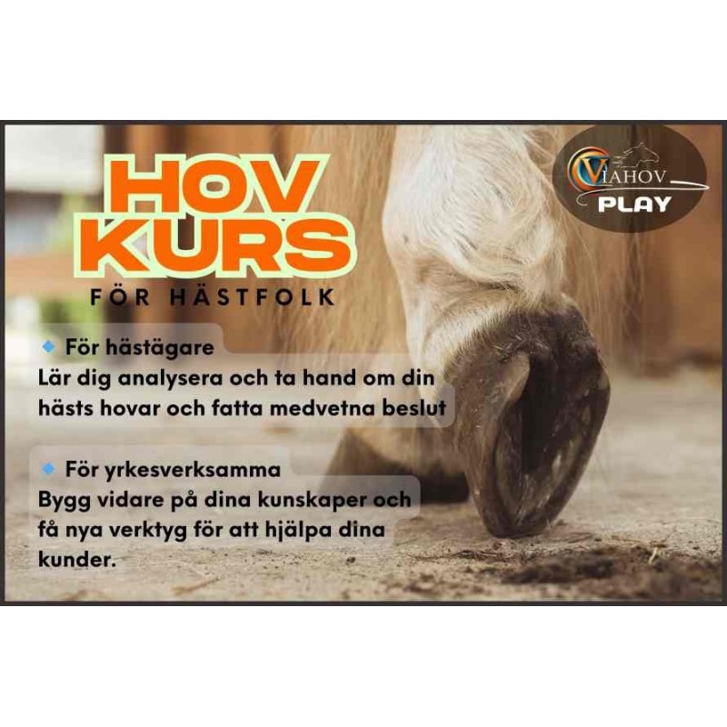VIAHOV PLAY - Lär dig mer om hovvård & hästhälsa