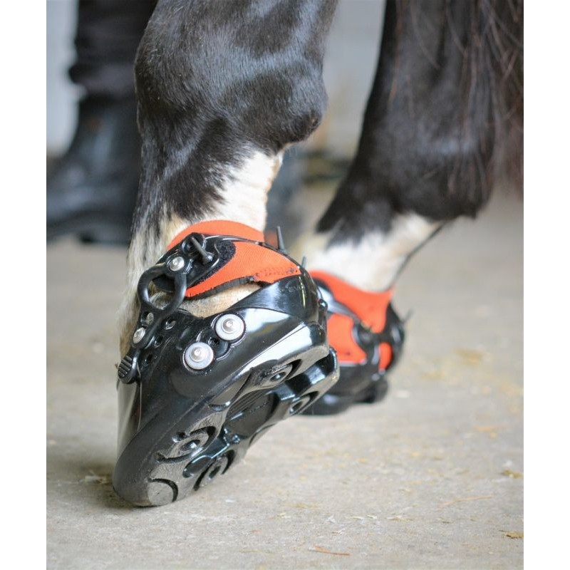 Evo Boot Premium