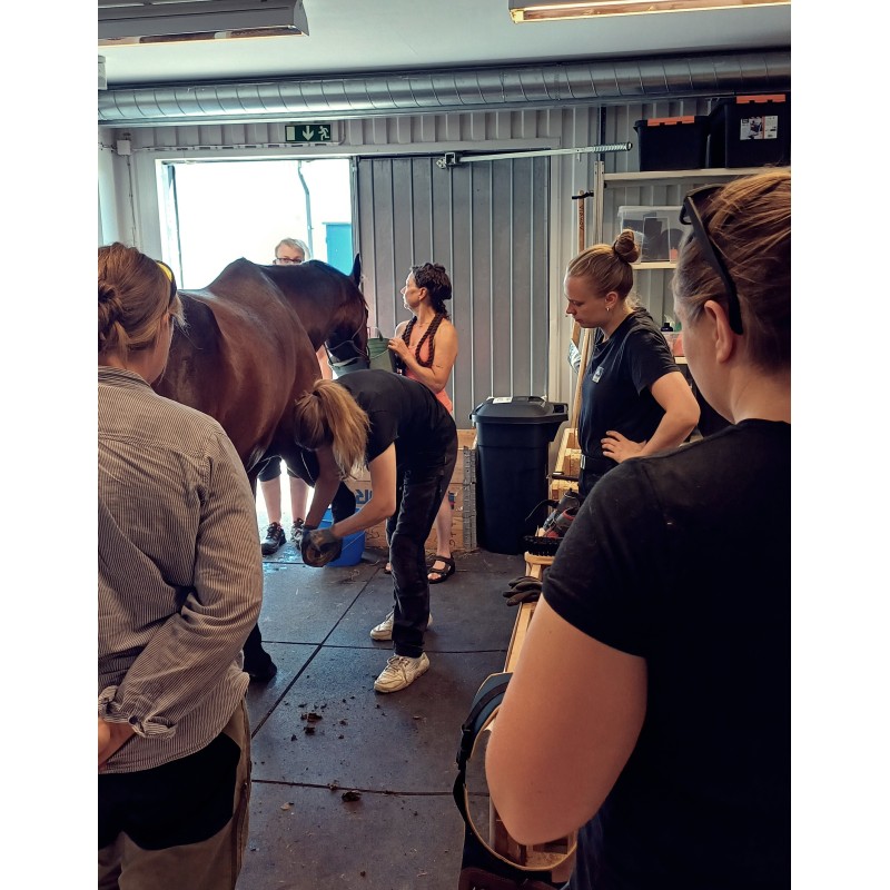 BOOTS + LIMSKO WORKSHOP ÖXABÄCK 30-31 MAJ