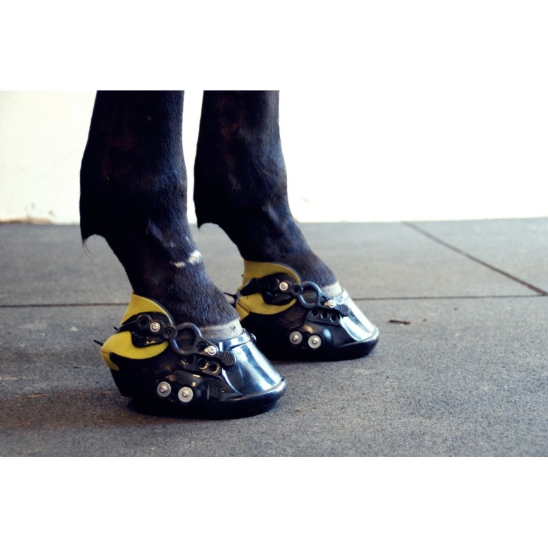 BOOTS WORKSHOP KRAMFORS 27-28 JUNI