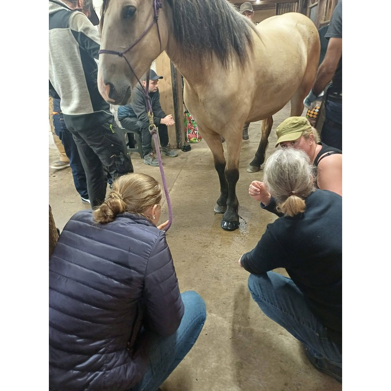 BOOTS WORKSHOP KRAMFORS 27-28 JUNI